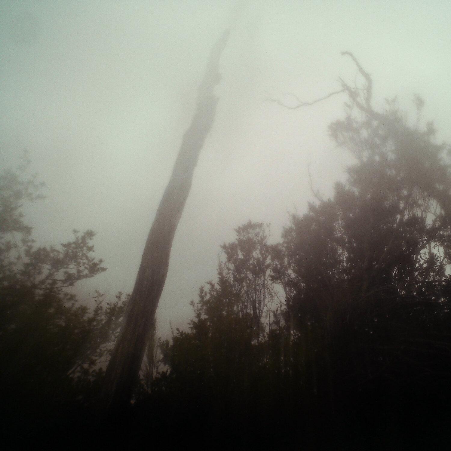 A photo captured from the webcam at the time the audio was recorded