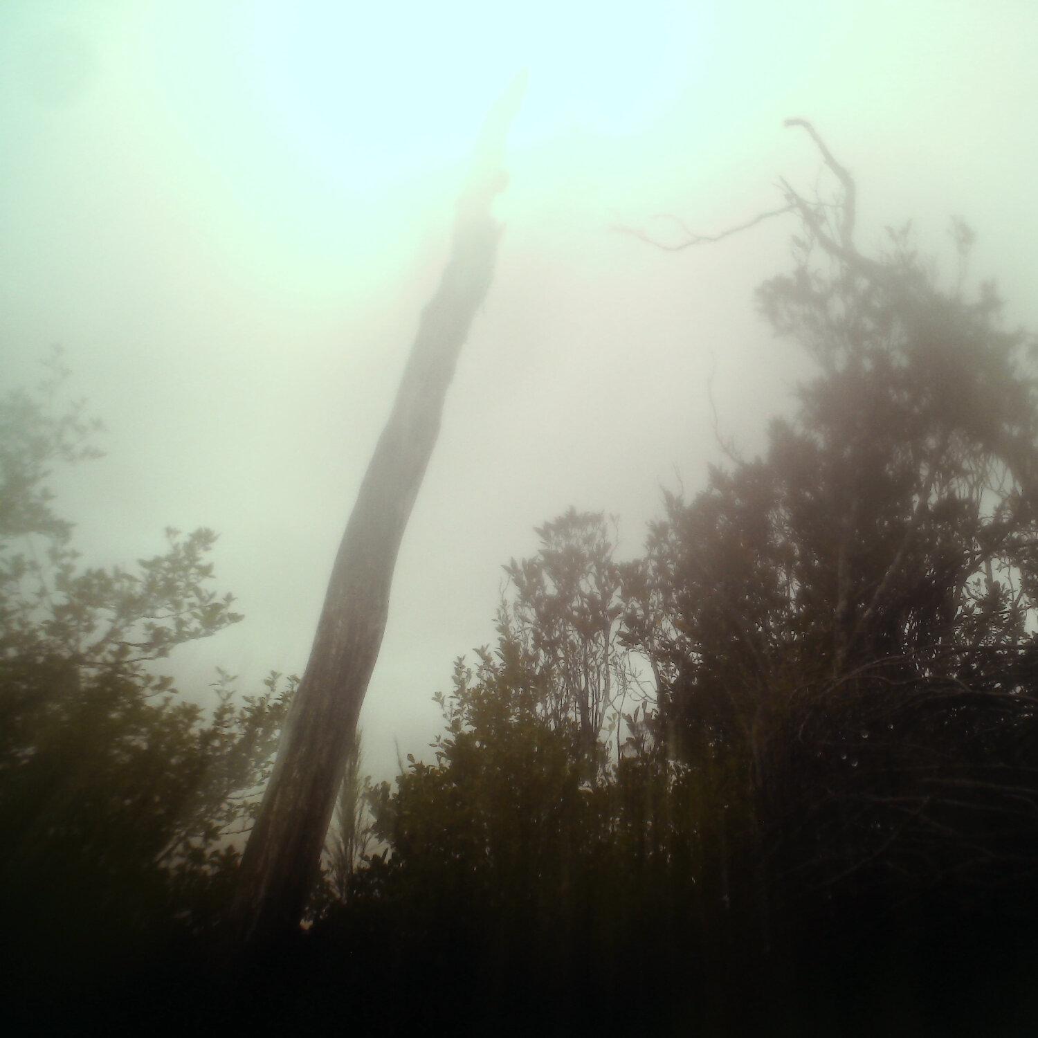 A photo captured from the webcam at the time the audio was recorded