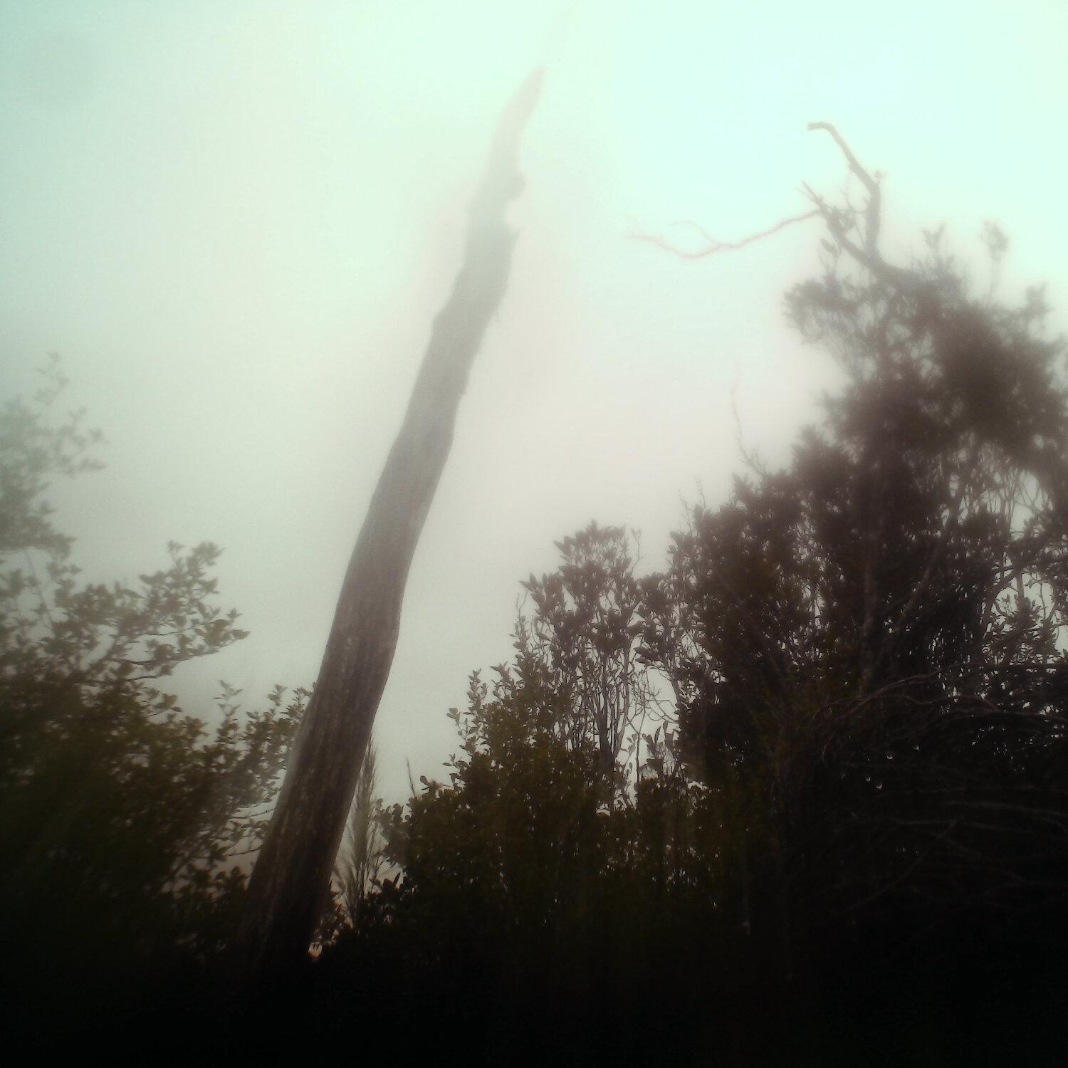 A photo captured from the webcam at the time the audio was recorded