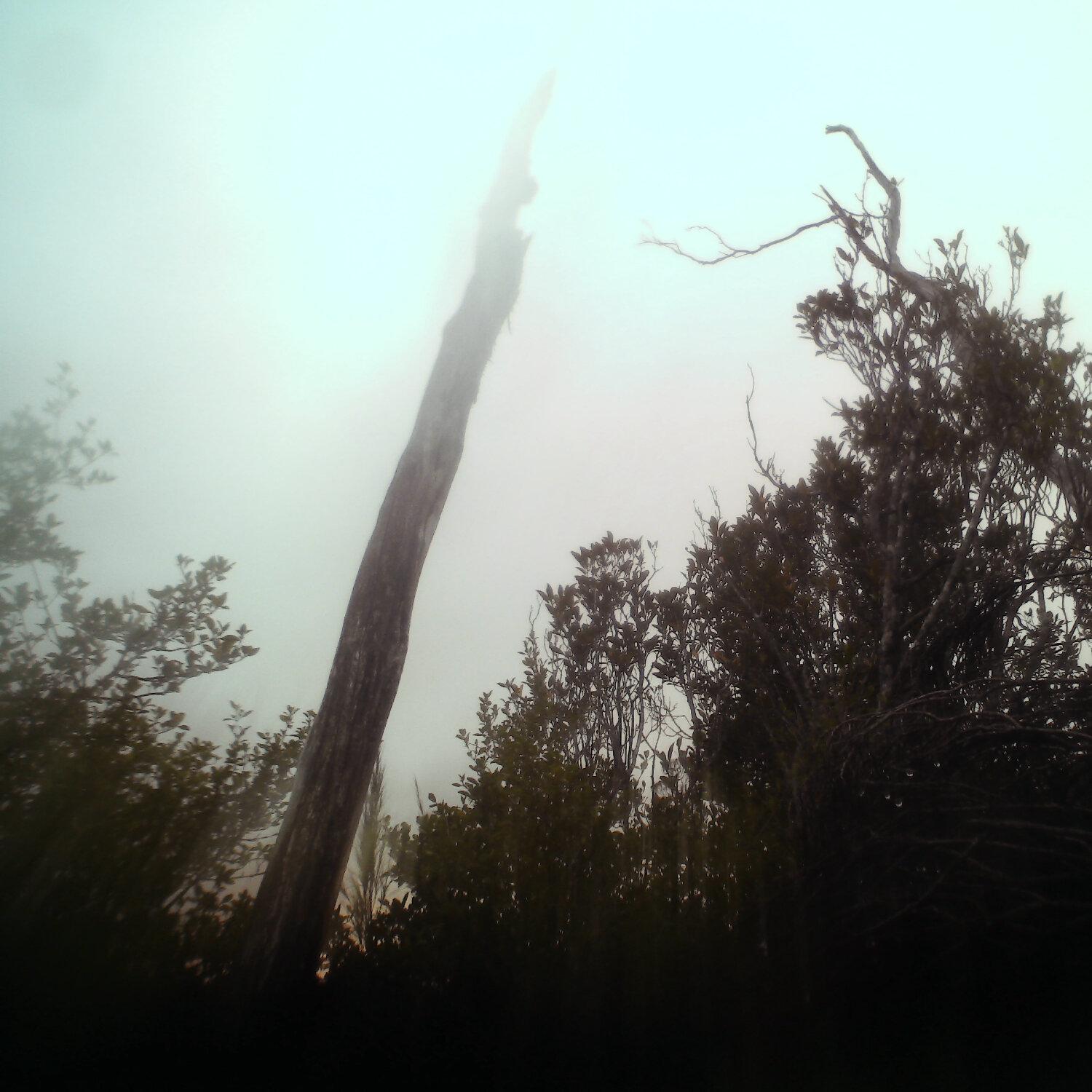A photo captured from the webcam at the time the audio was recorded