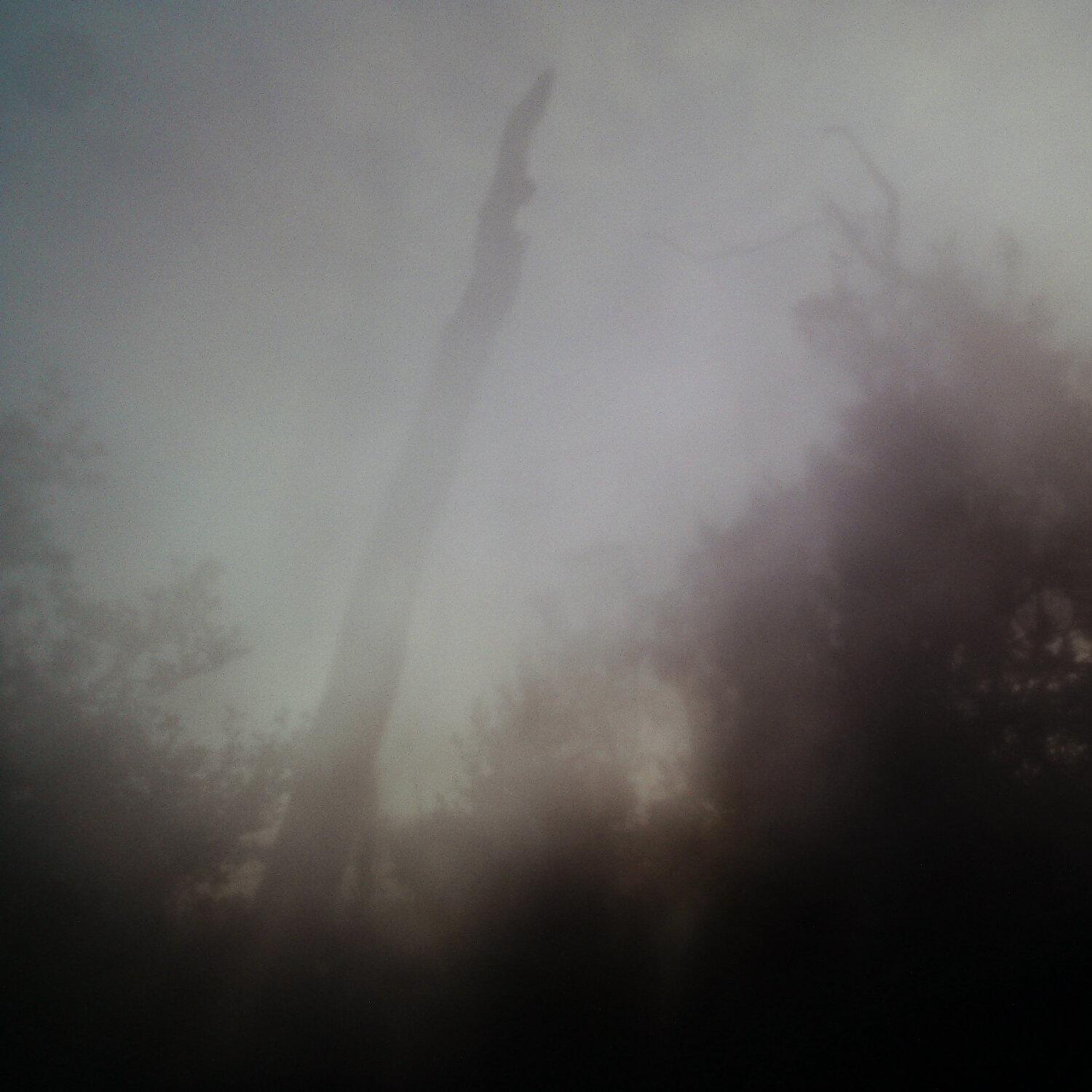 A photo captured from the webcam at the time the audio was recorded
