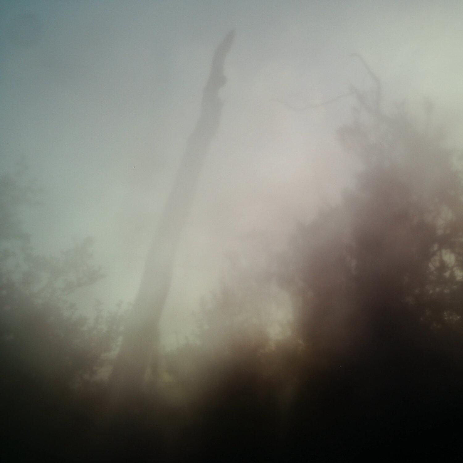 A photo captured from the webcam at the time the audio was recorded