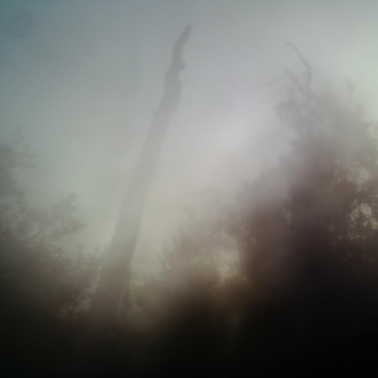 A photo captured from the webcam at the time the audio was recorded