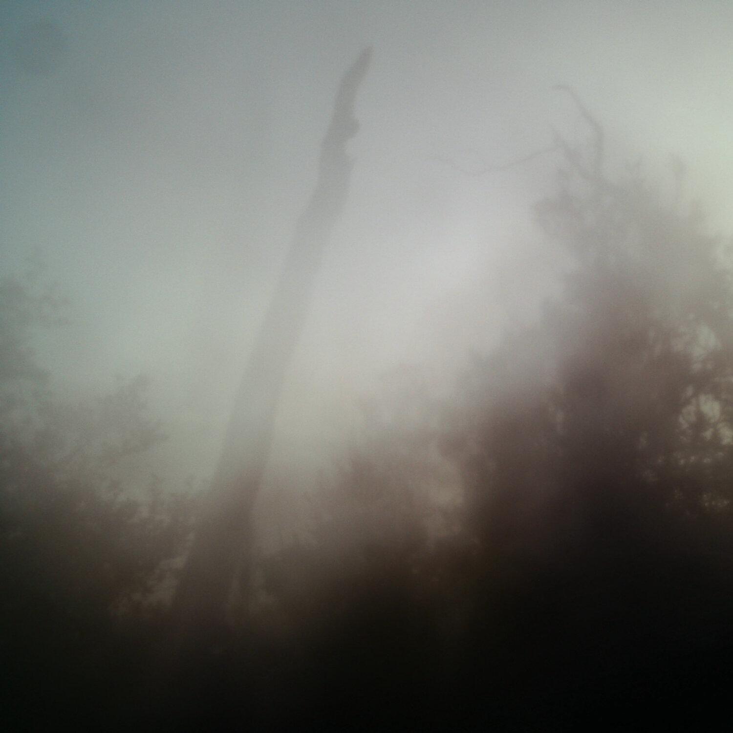 A photo captured from the webcam at the time the audio was recorded