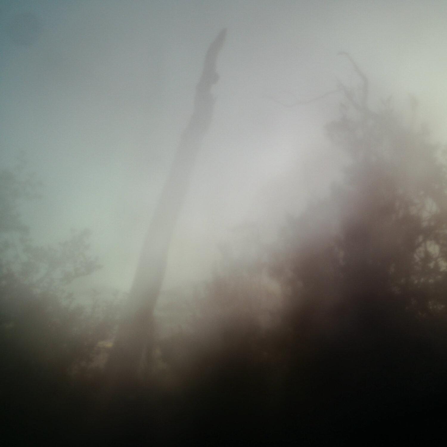 A photo captured from the webcam at the time the audio was recorded