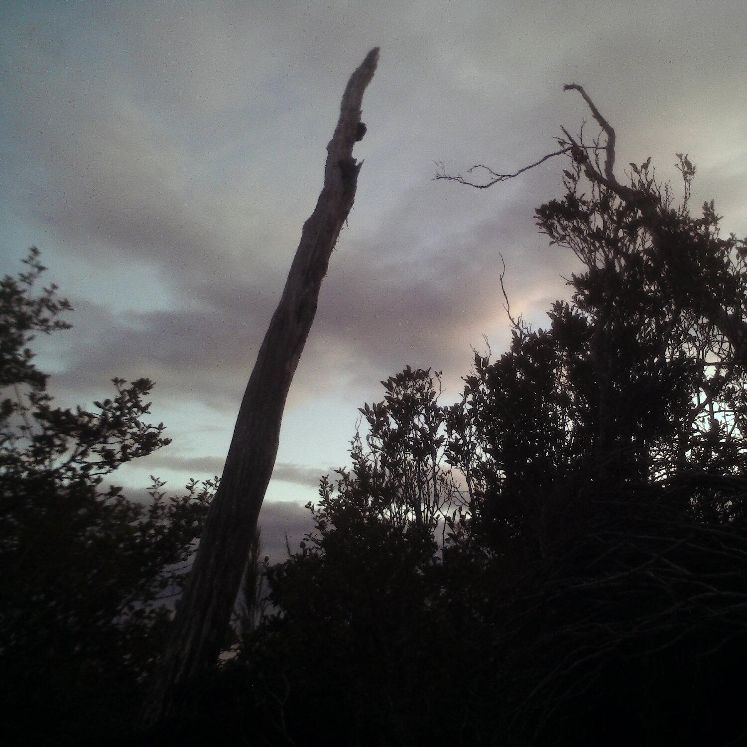 A photo captured from the webcam at the time the audio was recorded