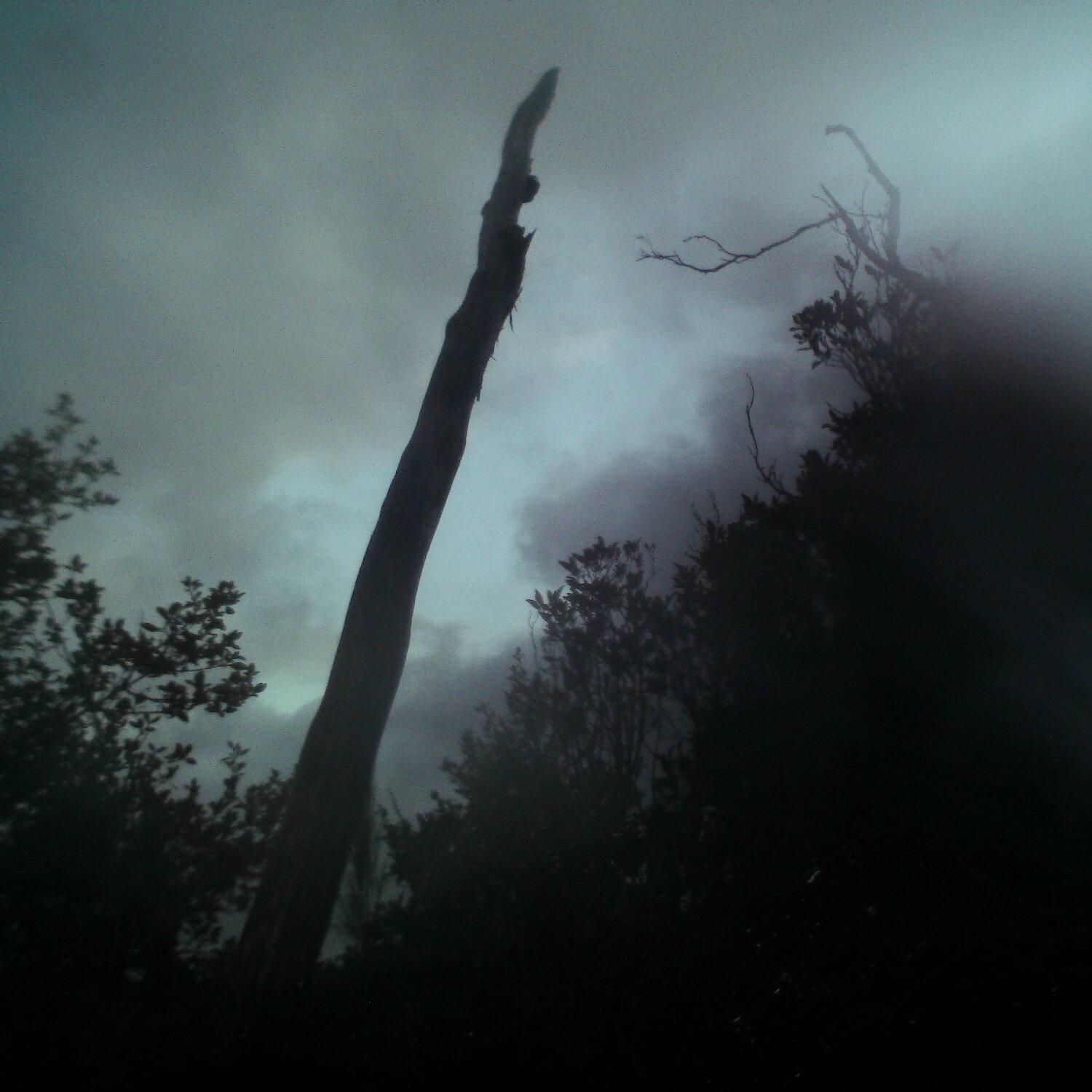 A photo captured from the webcam at the time the audio was recorded