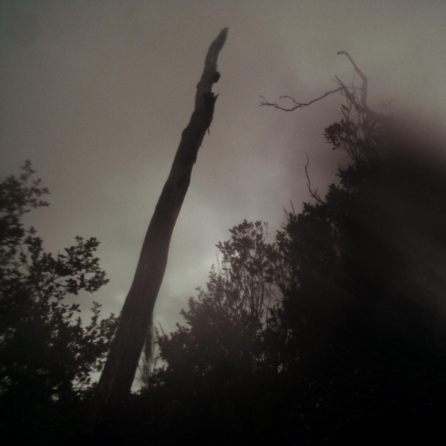 A photo captured from the webcam at the time the audio was recorded