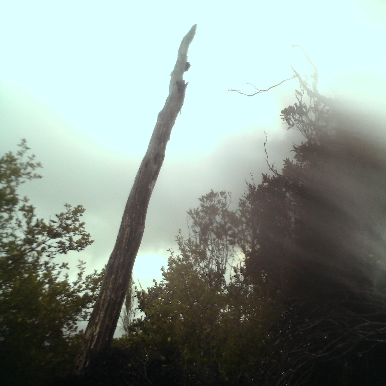 A photo captured from the webcam at the time the audio was recorded