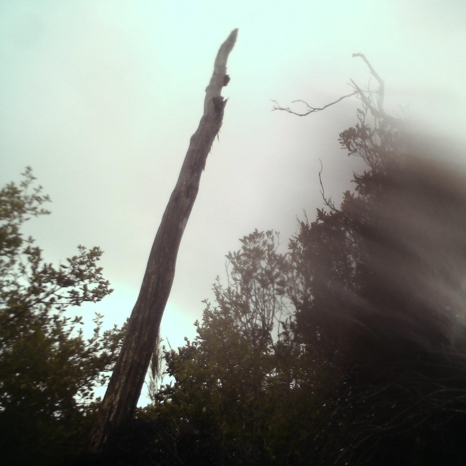 A photo captured from the webcam at the time the audio was recorded