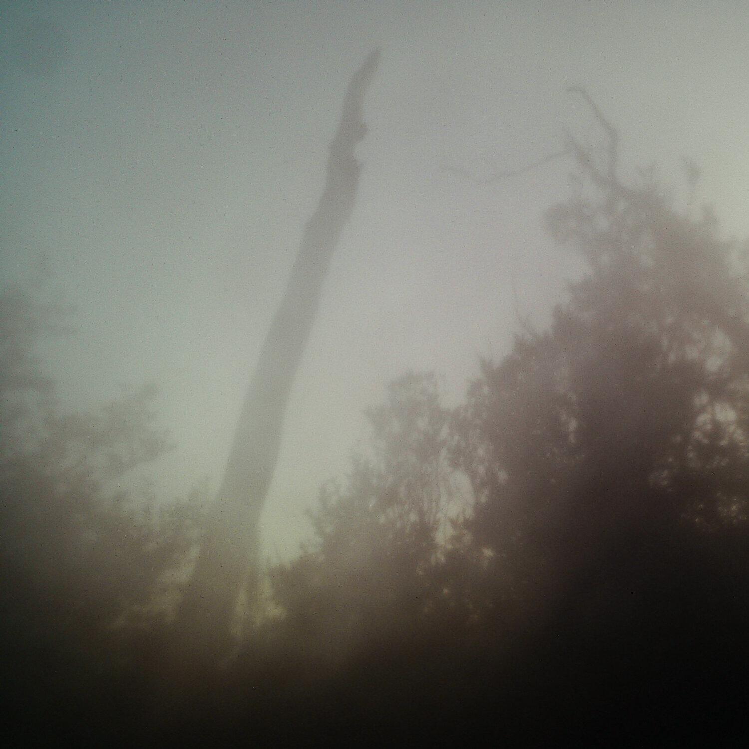 A photo captured from the webcam at the time the audio was recorded