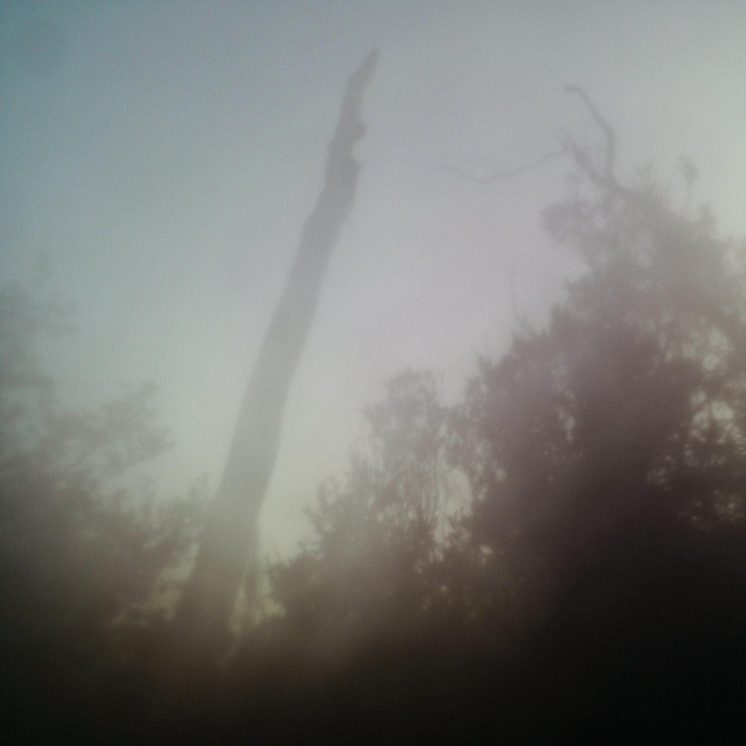 A photo captured from the webcam at the time the audio was recorded