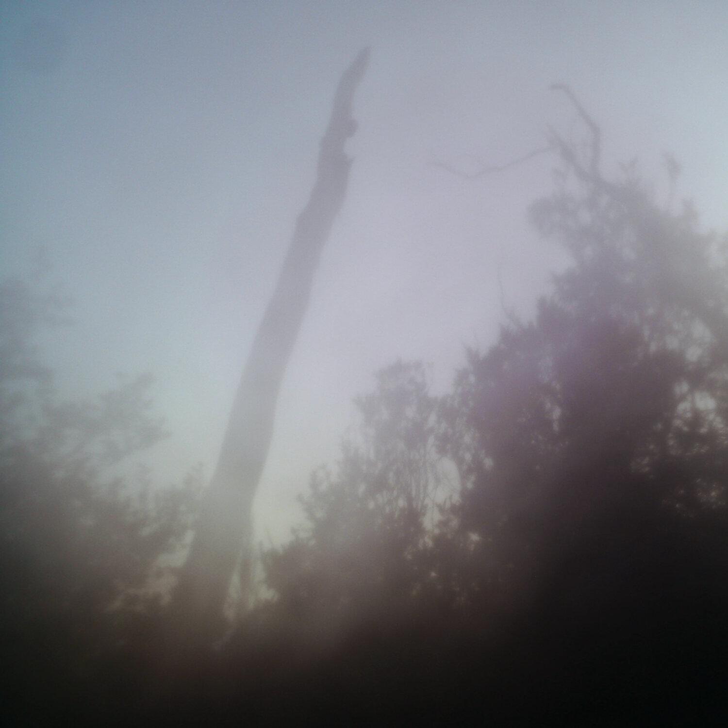 A photo captured from the webcam at the time the audio was recorded