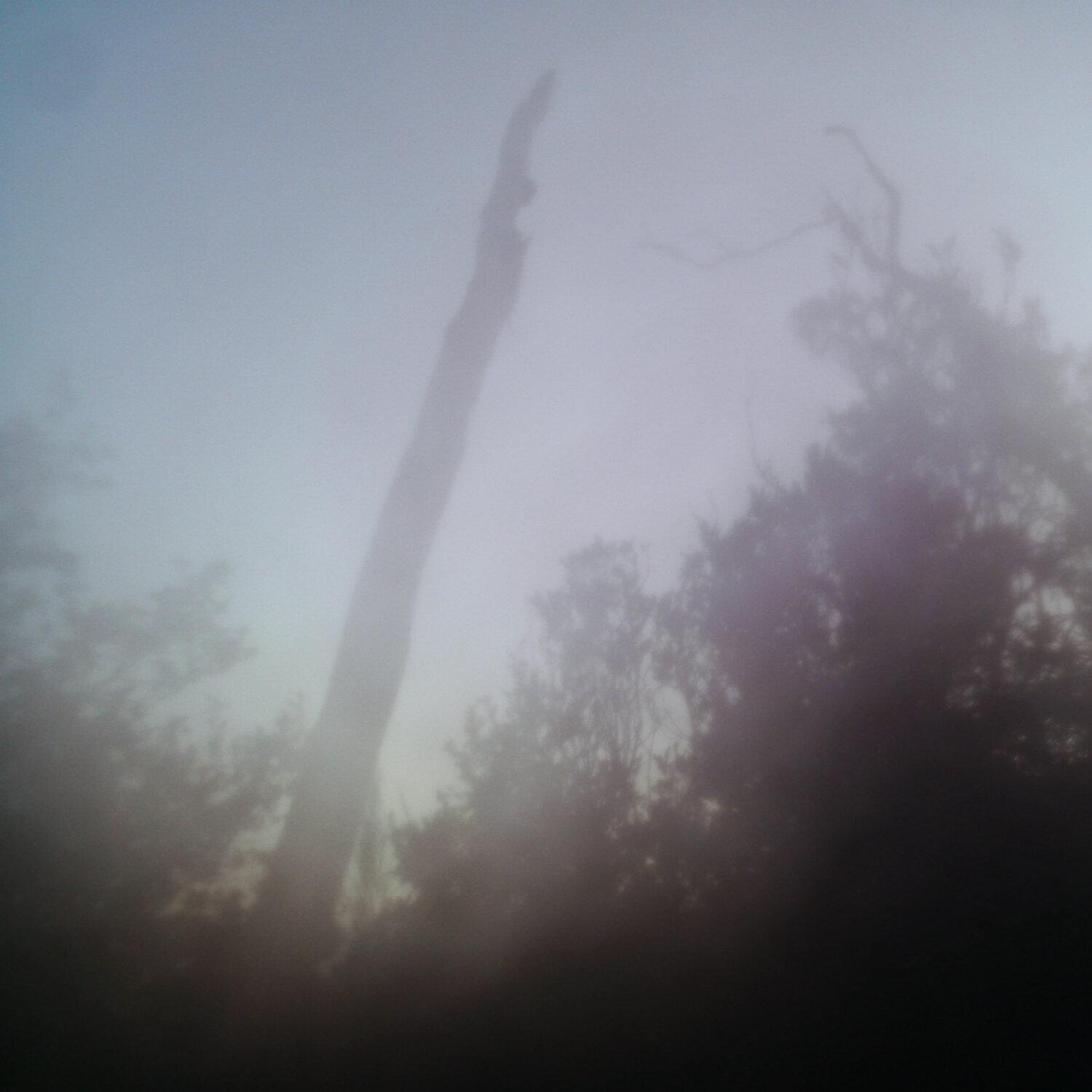 A photo captured from the webcam at the time the audio was recorded