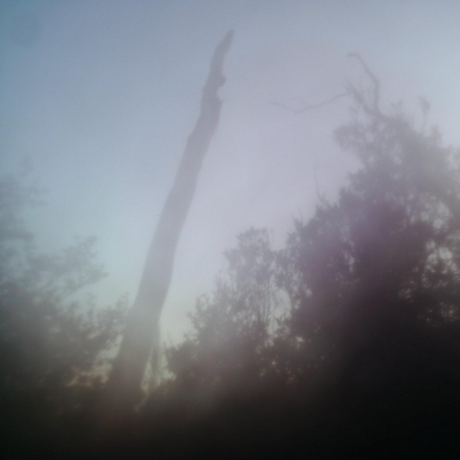 A photo captured from the webcam at the time the audio was recorded