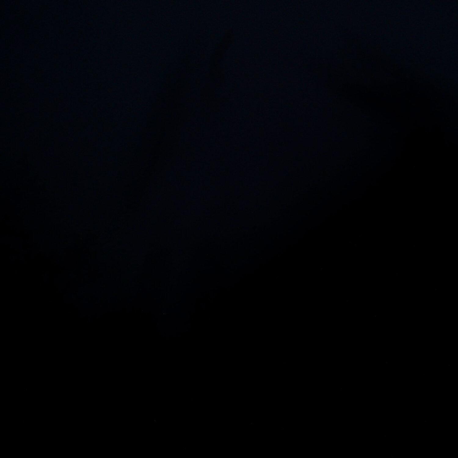 A photo captured from the webcam at the time the audio was recorded