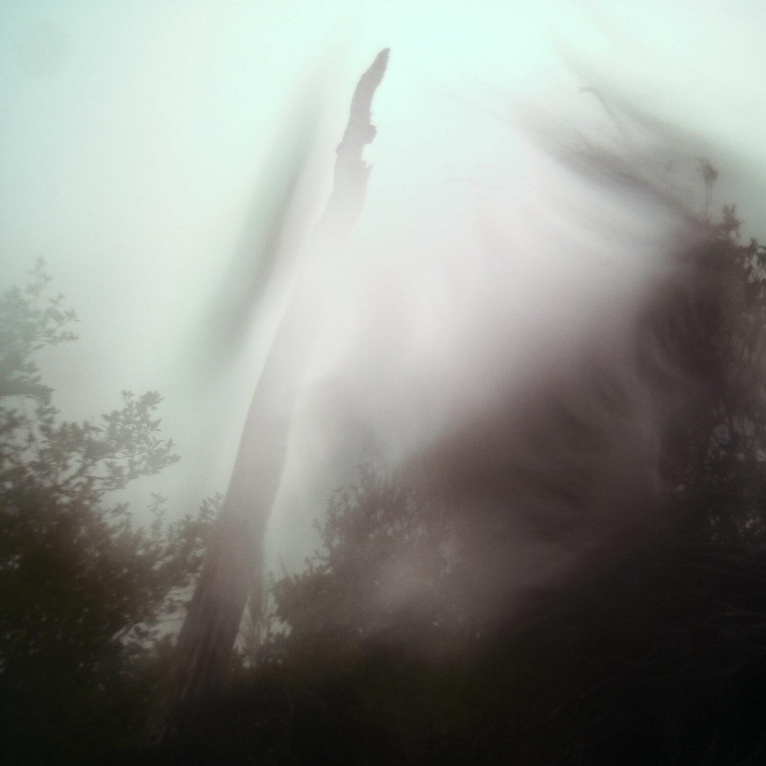 A photo captured from the webcam at the time the audio was recorded