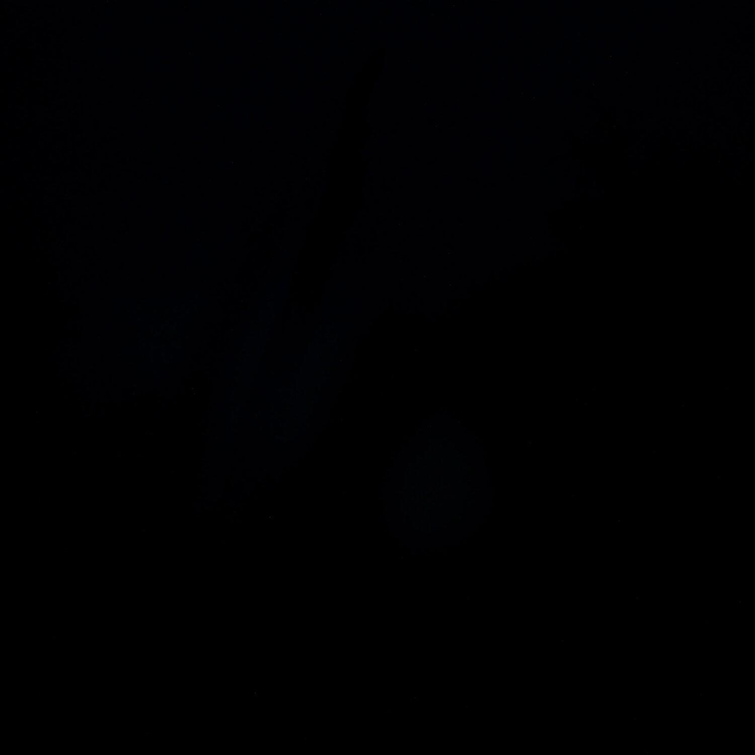 A photo captured from the webcam at the time the audio was recorded