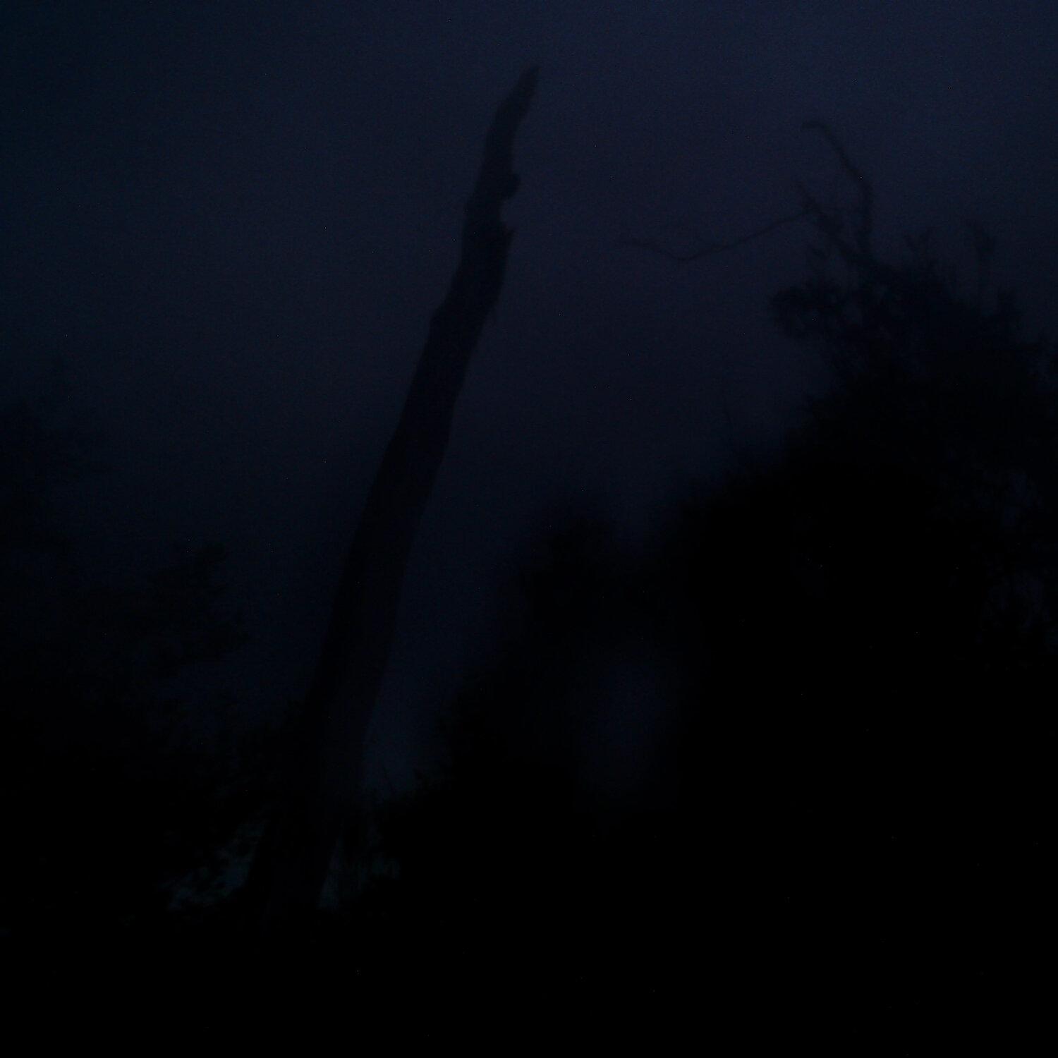 A photo captured from the webcam at the time the audio was recorded