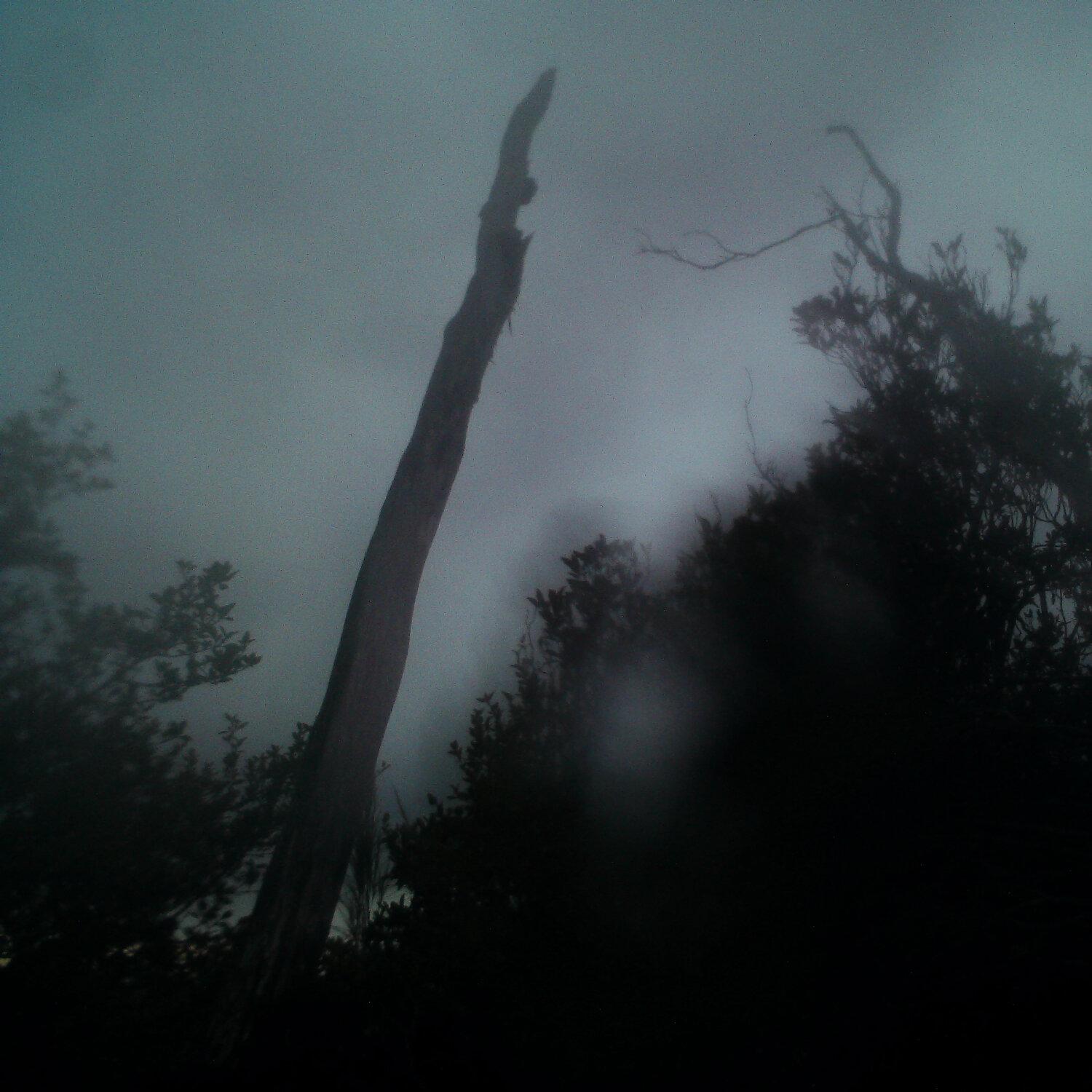 A photo captured from the webcam at the time the audio was recorded
