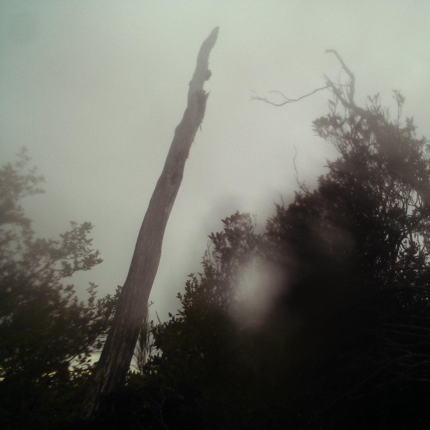 A photo captured from the webcam at the time the audio was recorded