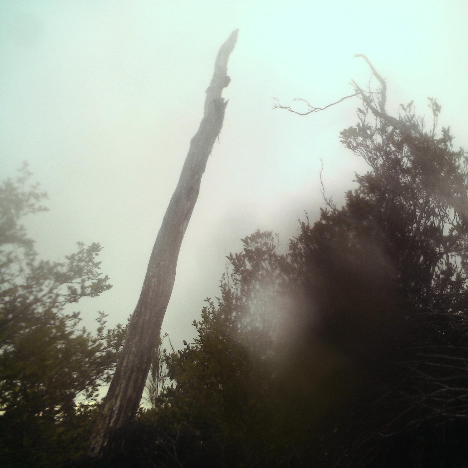 A photo captured from the webcam at the time the audio was recorded