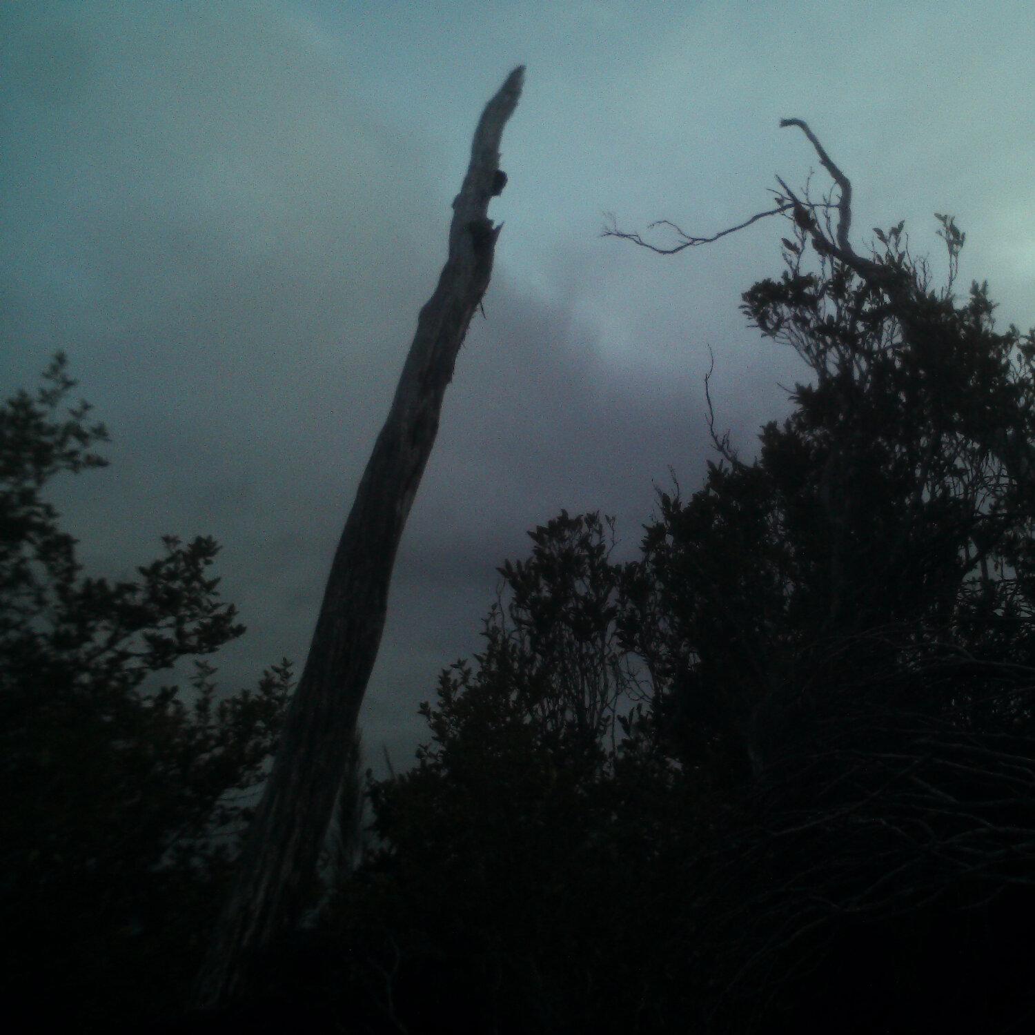 A photo captured from the webcam at the time the audio was recorded