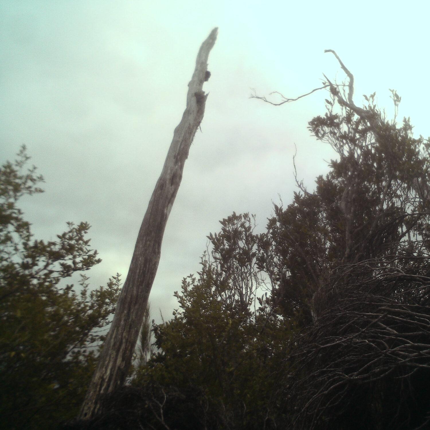 A photo captured from the webcam at the time the audio was recorded
