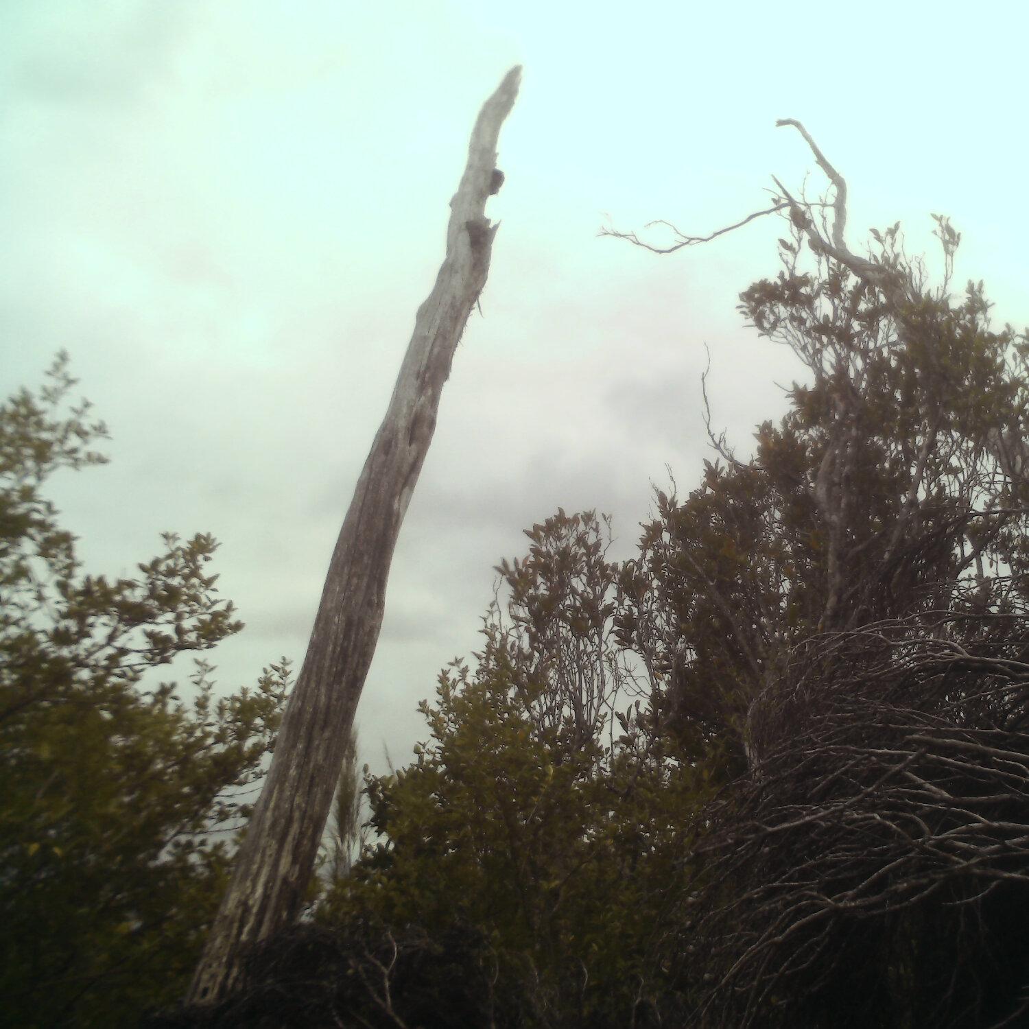 A photo captured from the webcam at the time the audio was recorded
