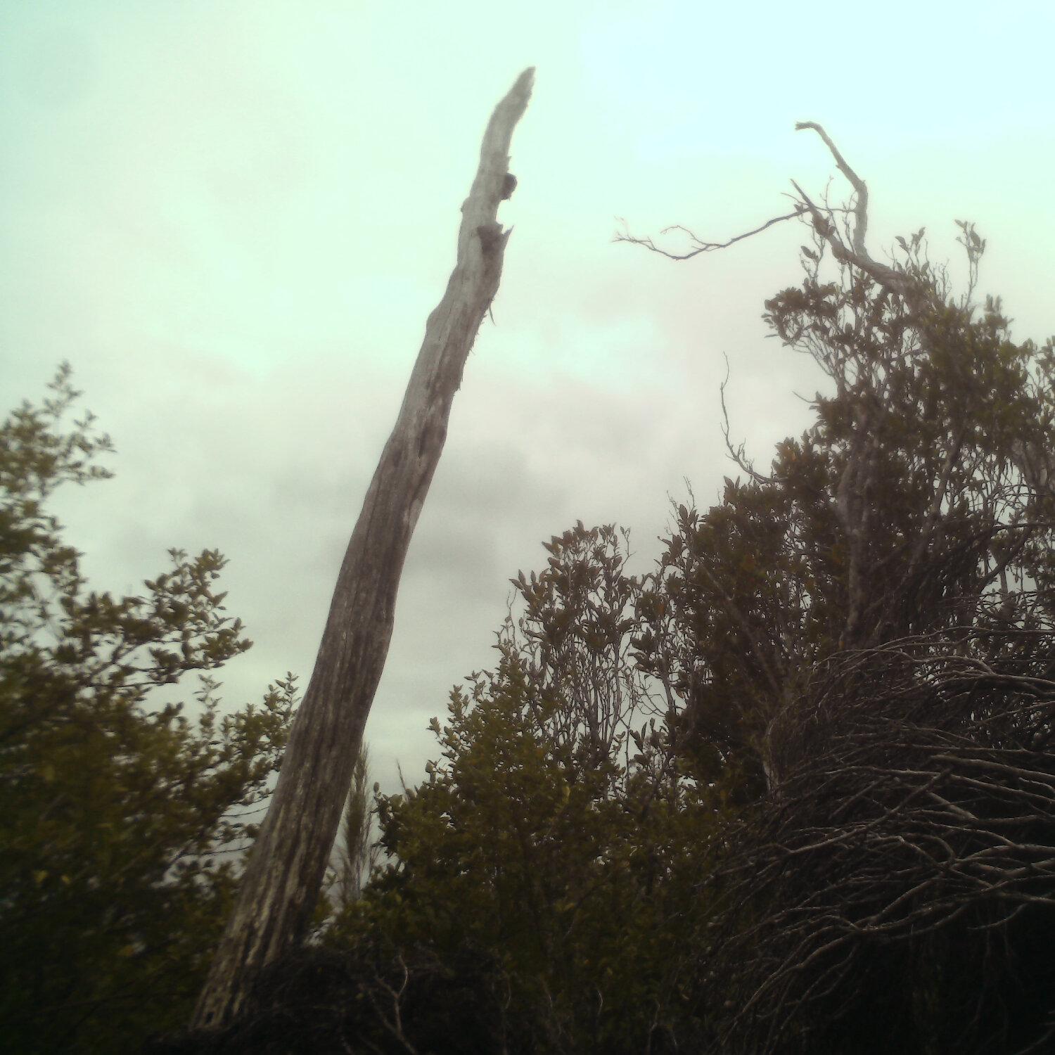A photo captured from the webcam at the time the audio was recorded