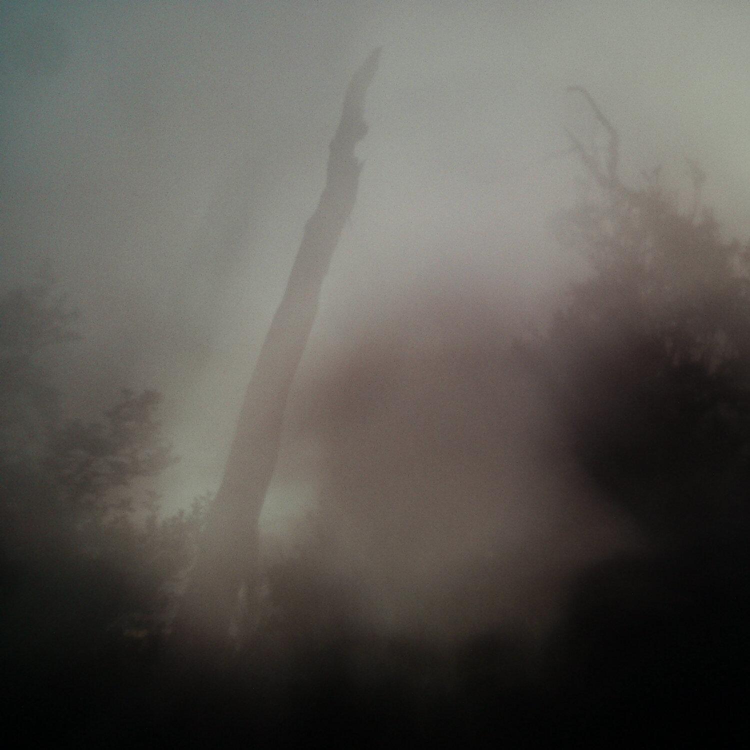A photo captured from the webcam at the time the audio was recorded