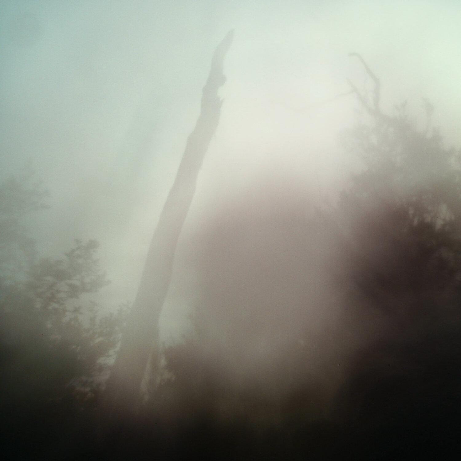 A photo captured from the webcam at the time the audio was recorded