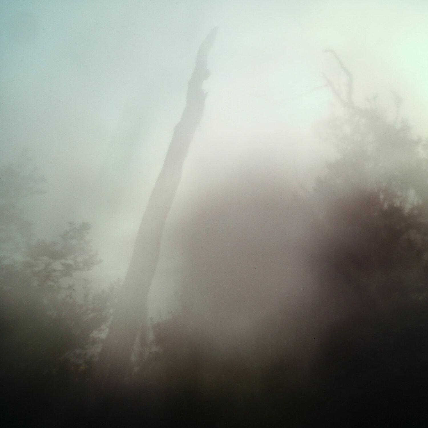A photo captured from the webcam at the time the audio was recorded