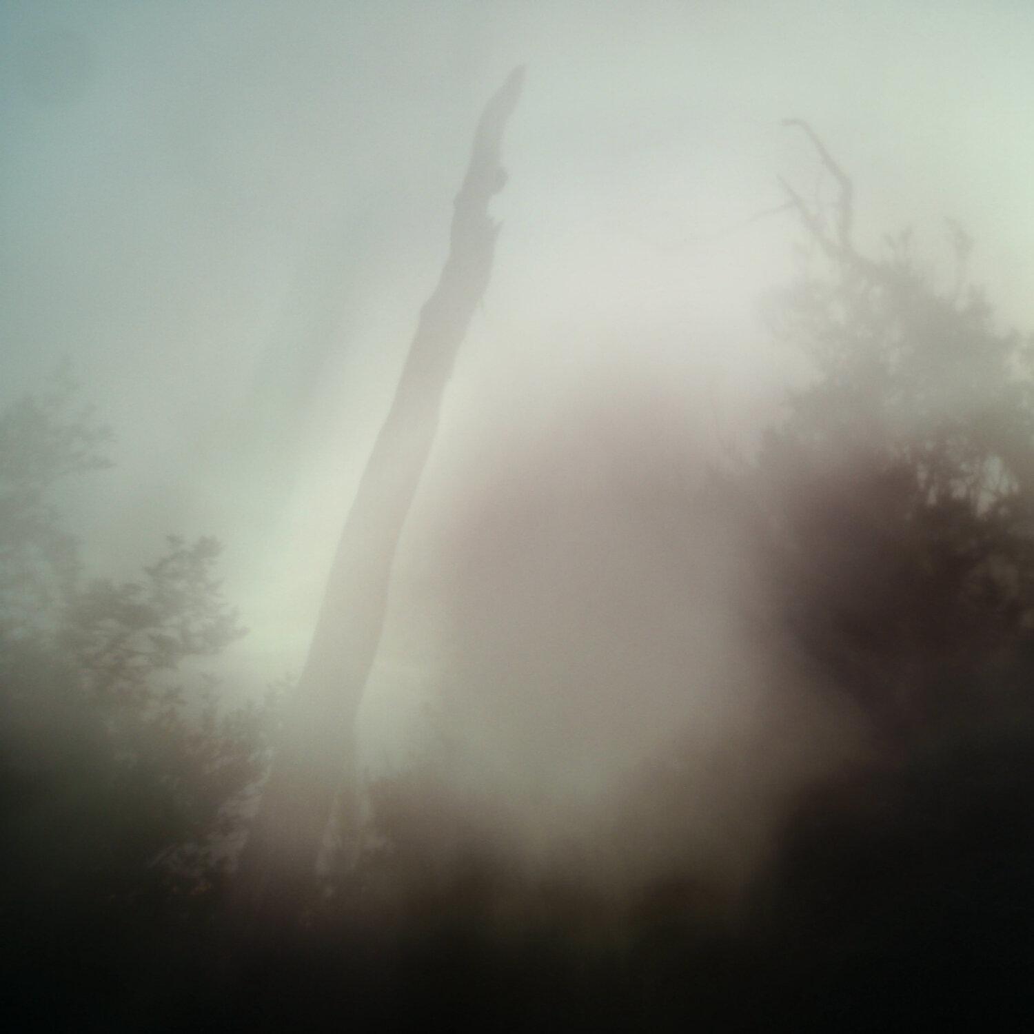 A photo captured from the webcam at the time the audio was recorded