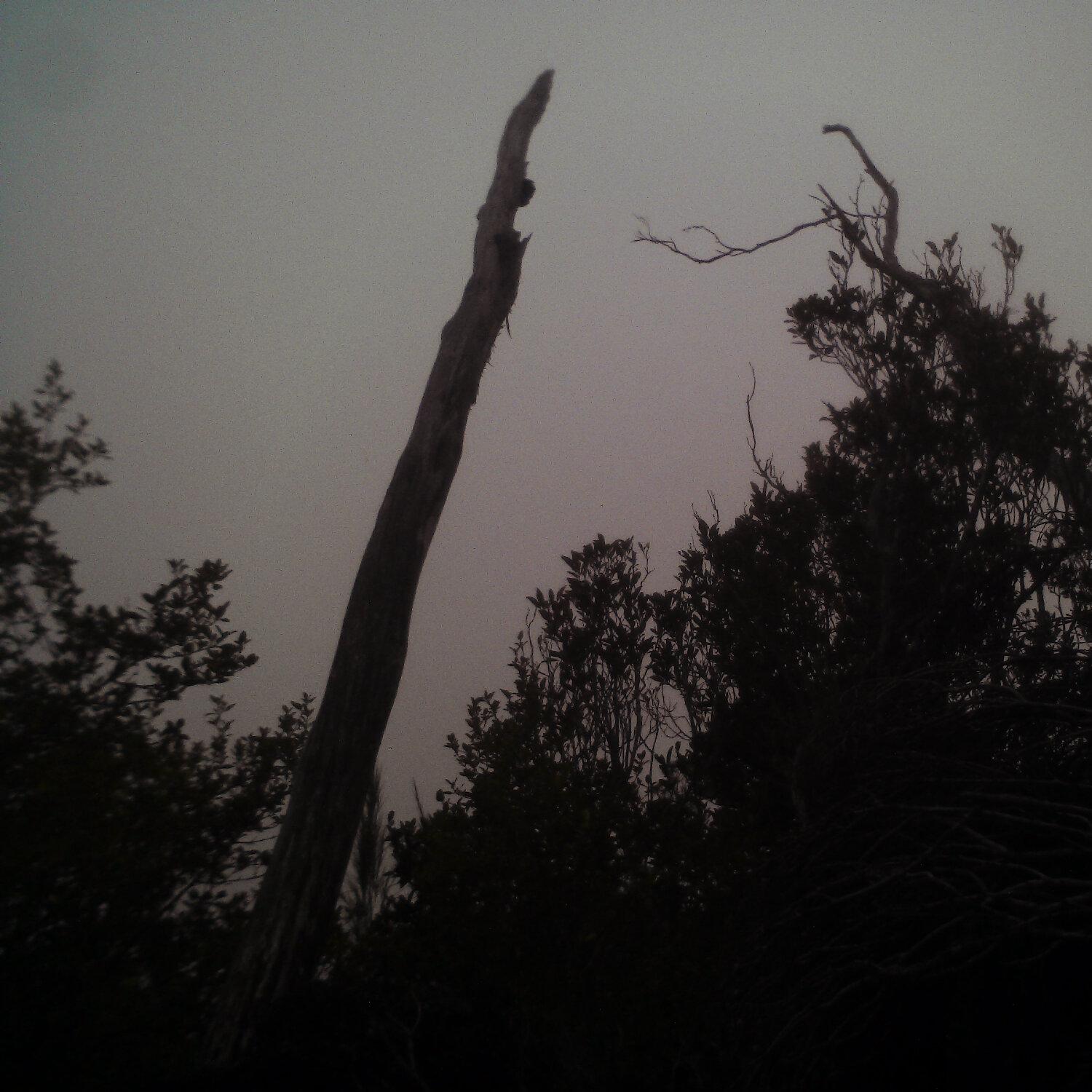 A photo captured from the webcam at the time the audio was recorded