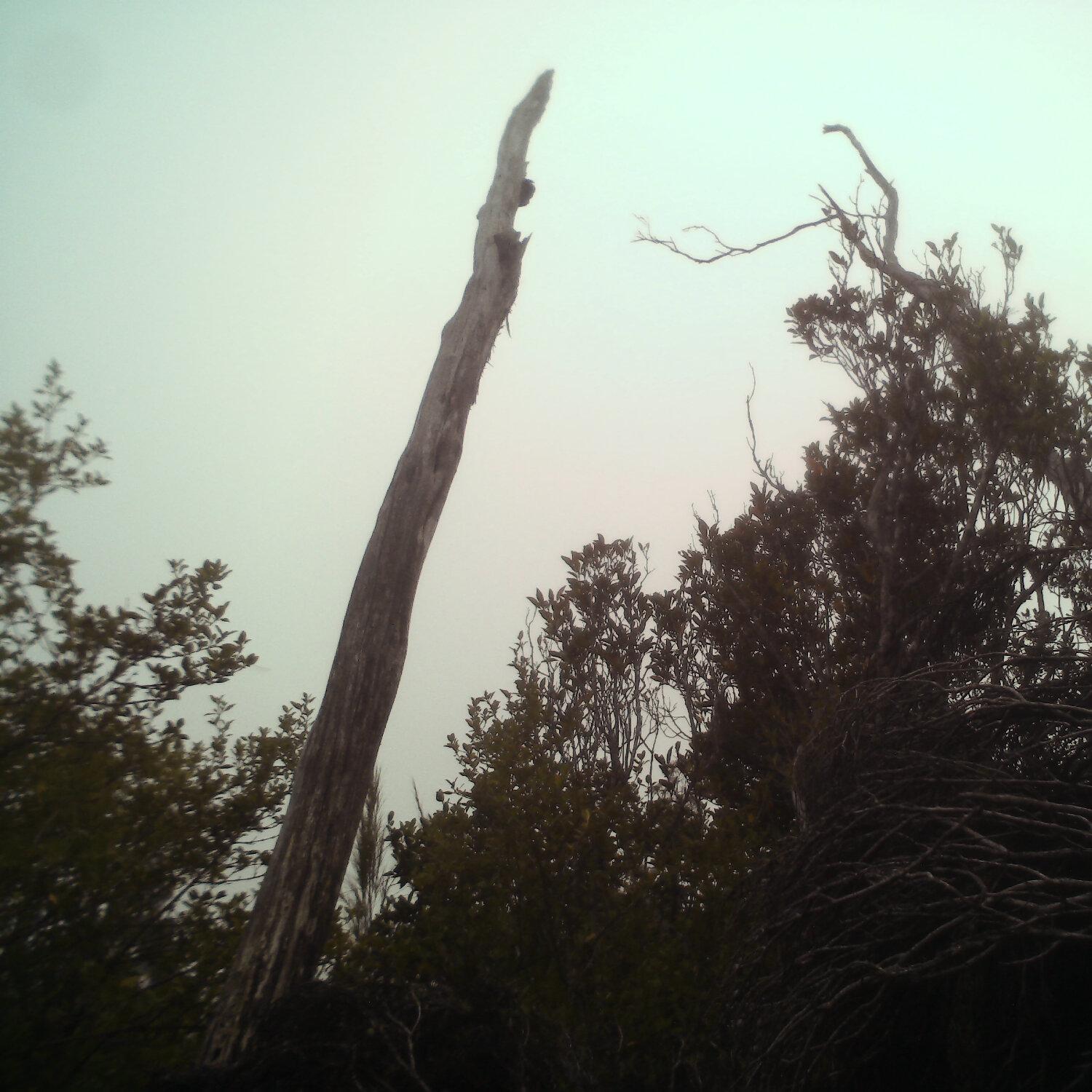A photo captured from the webcam at the time the audio was recorded