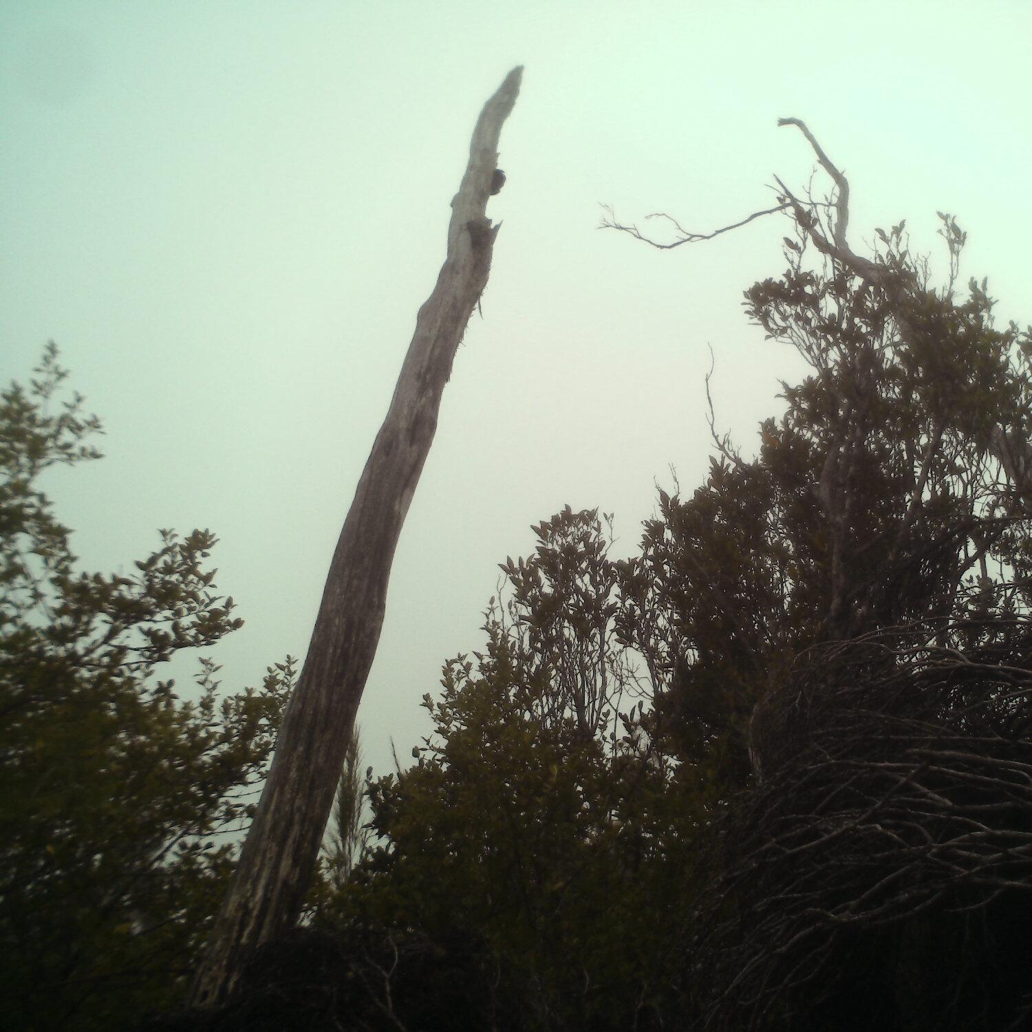 A photo captured from the webcam at the time the audio was recorded