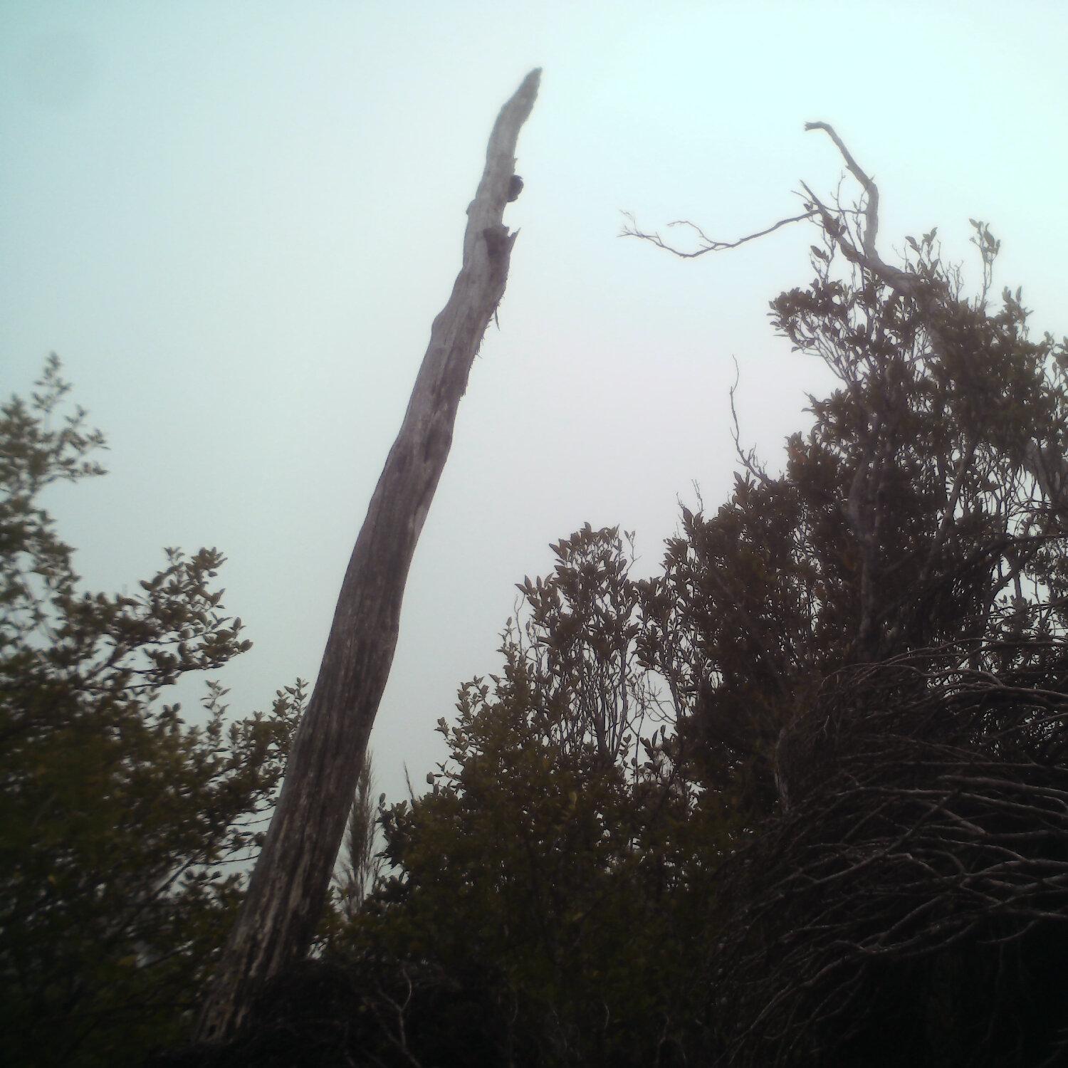 A photo captured from the webcam at the time the audio was recorded