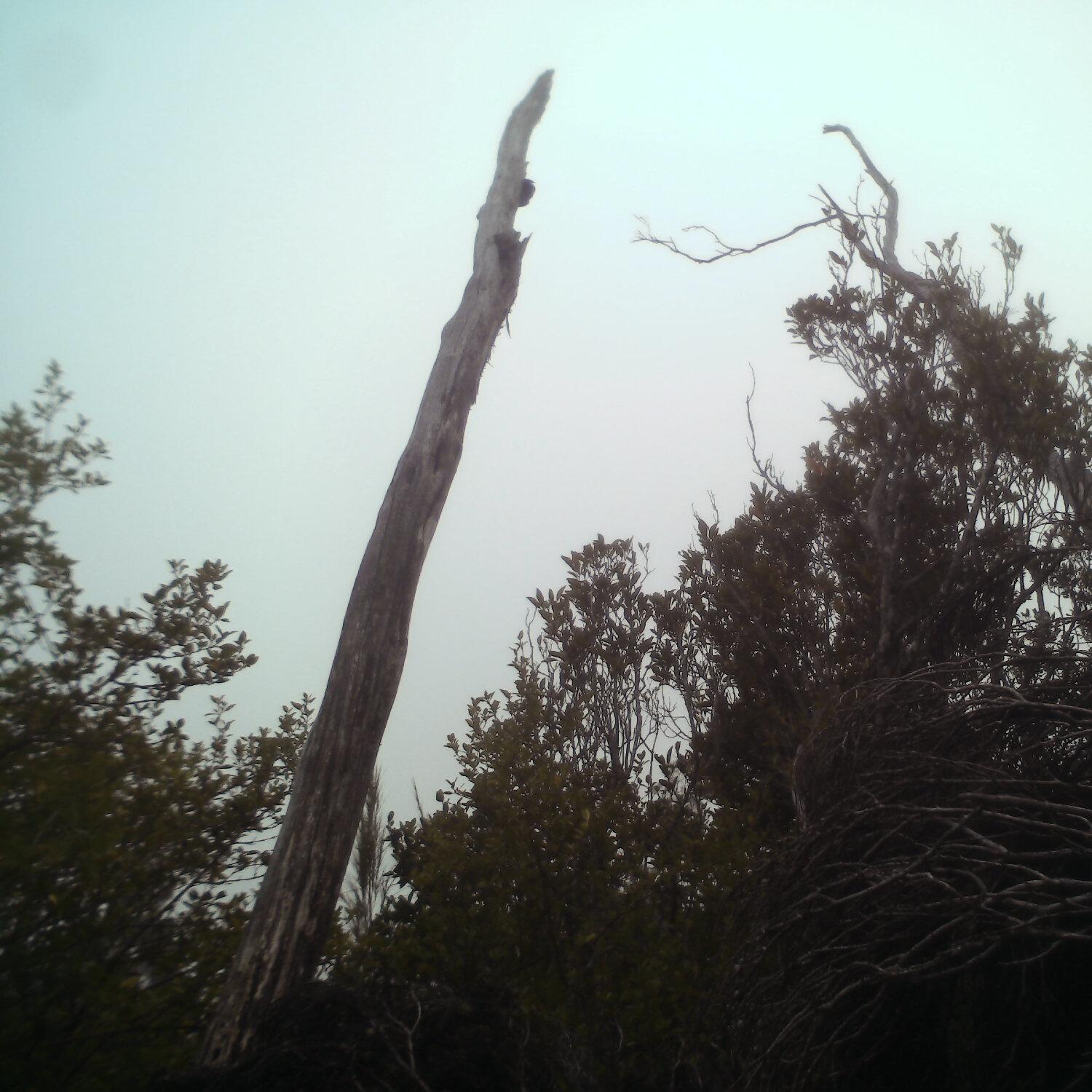 A photo captured from the webcam at the time the audio was recorded