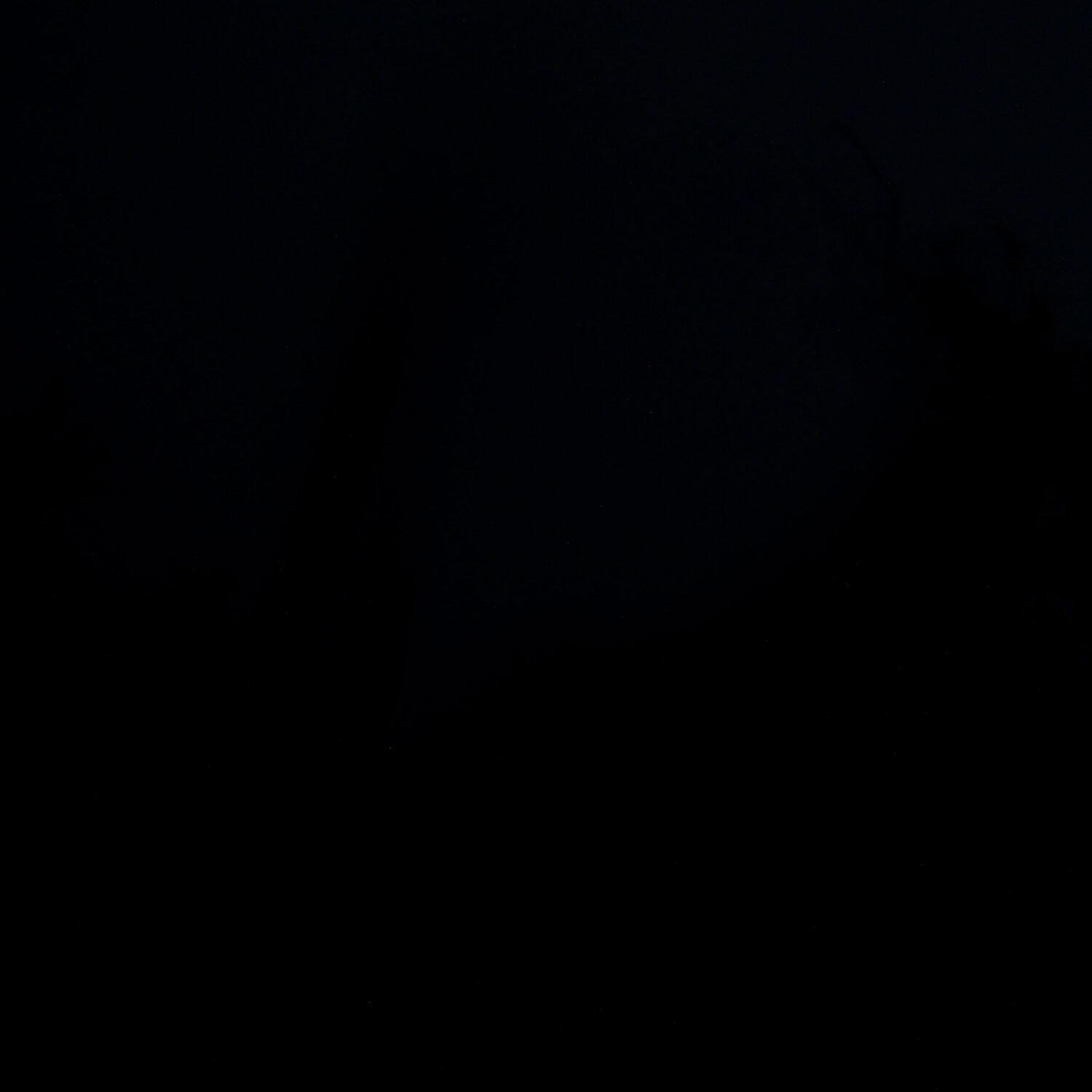 A photo captured from the webcam at the time the audio was recorded