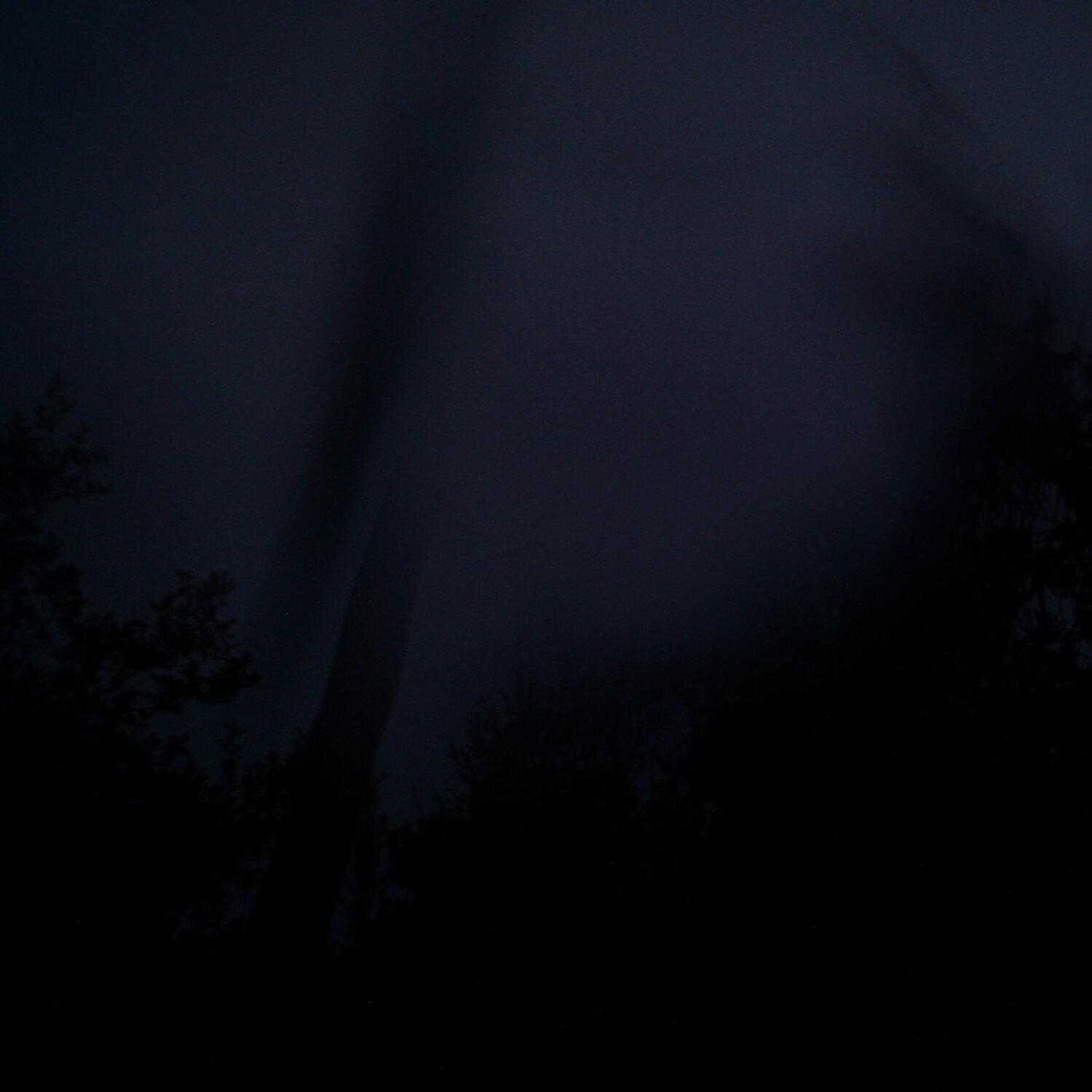 A photo captured from the webcam at the time the audio was recorded