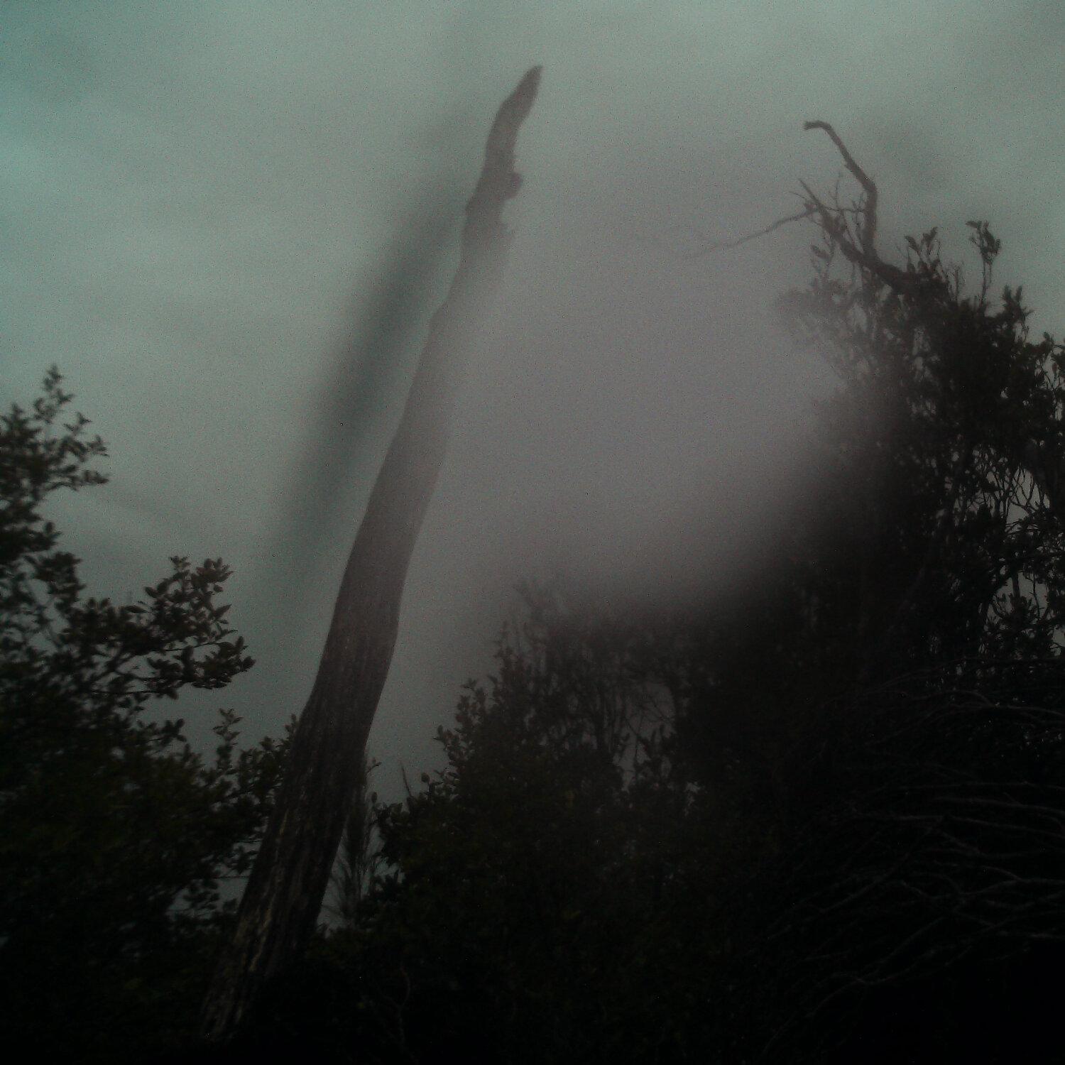 A photo captured from the webcam at the time the audio was recorded