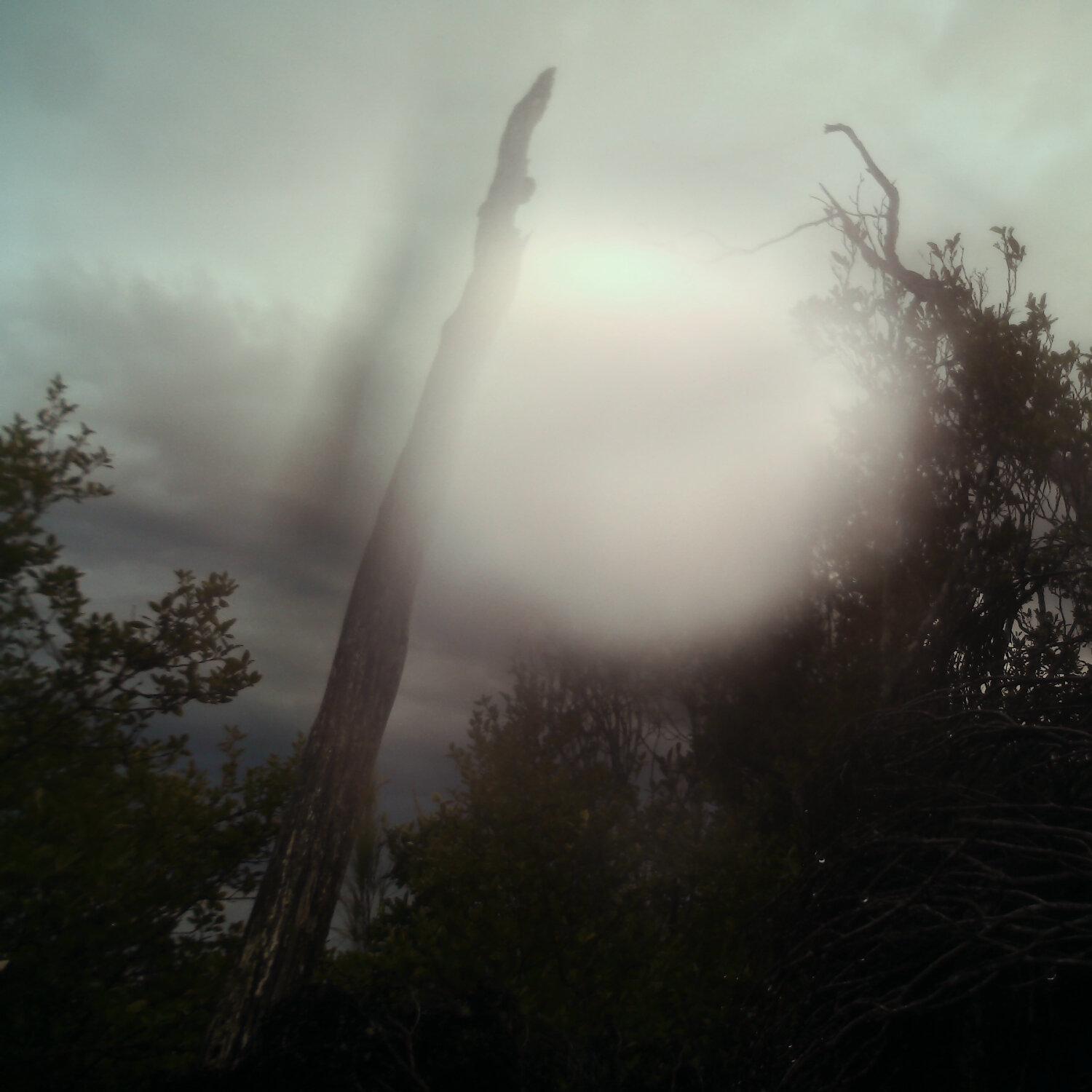 A photo captured from the webcam at the time the audio was recorded