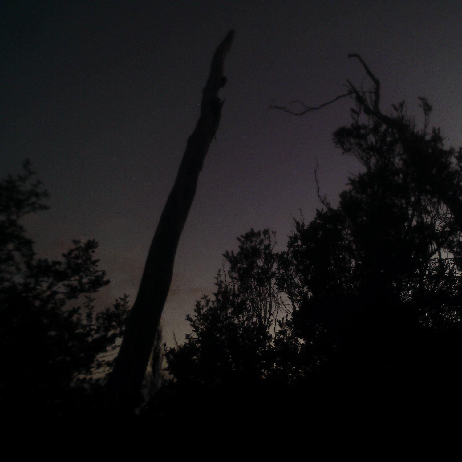A photo captured from the webcam at the time the audio was recorded