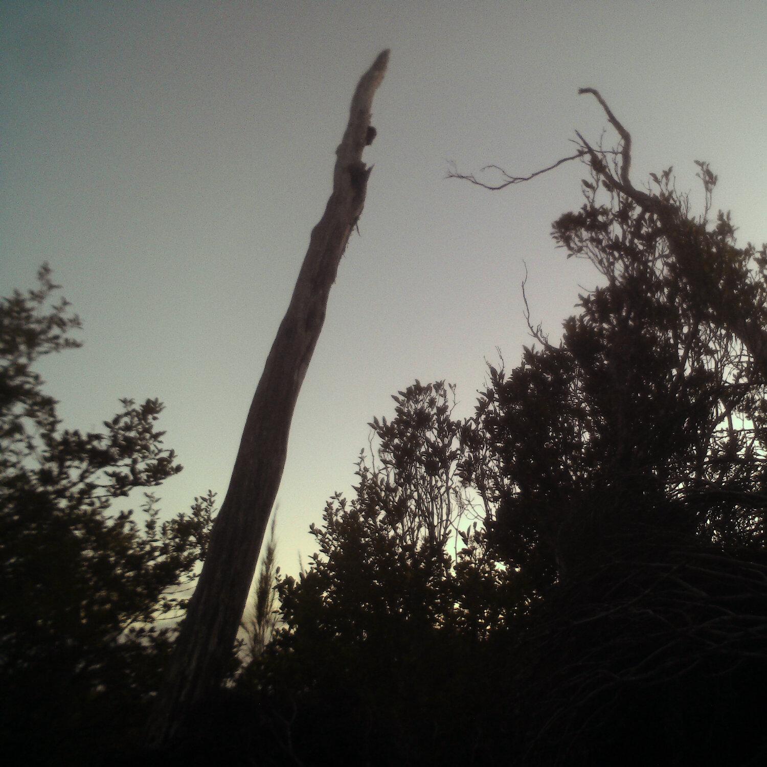 A photo captured from the webcam at the time the audio was recorded