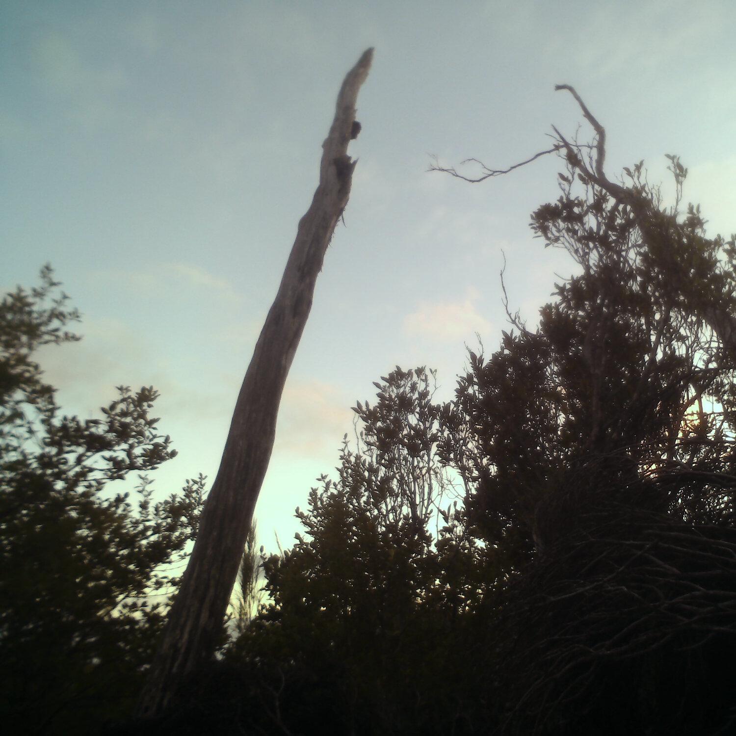 A photo captured from the webcam at the time the audio was recorded