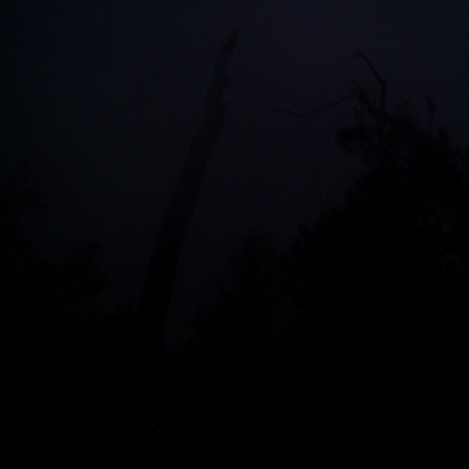 A photo captured from the webcam at the time the audio was recorded