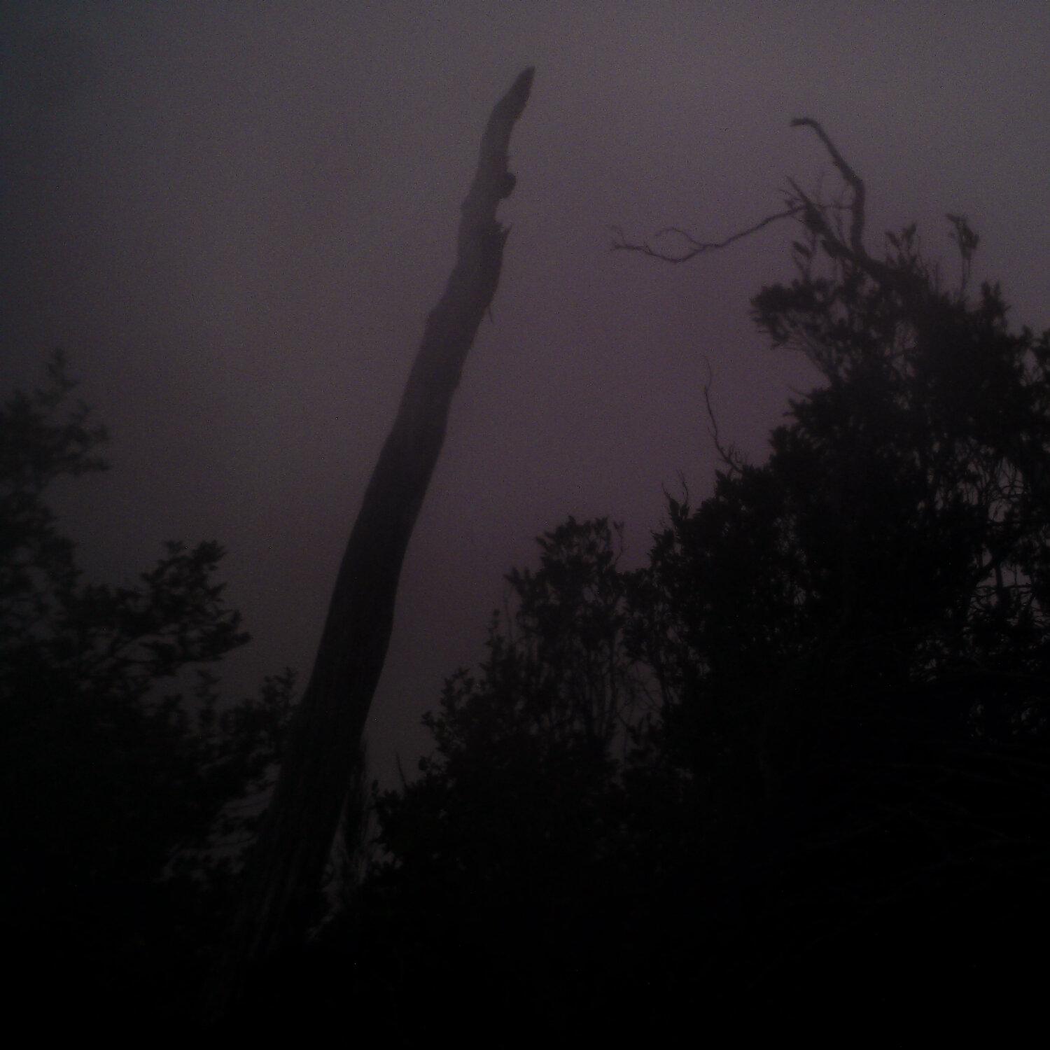 A photo captured from the webcam at the time the audio was recorded