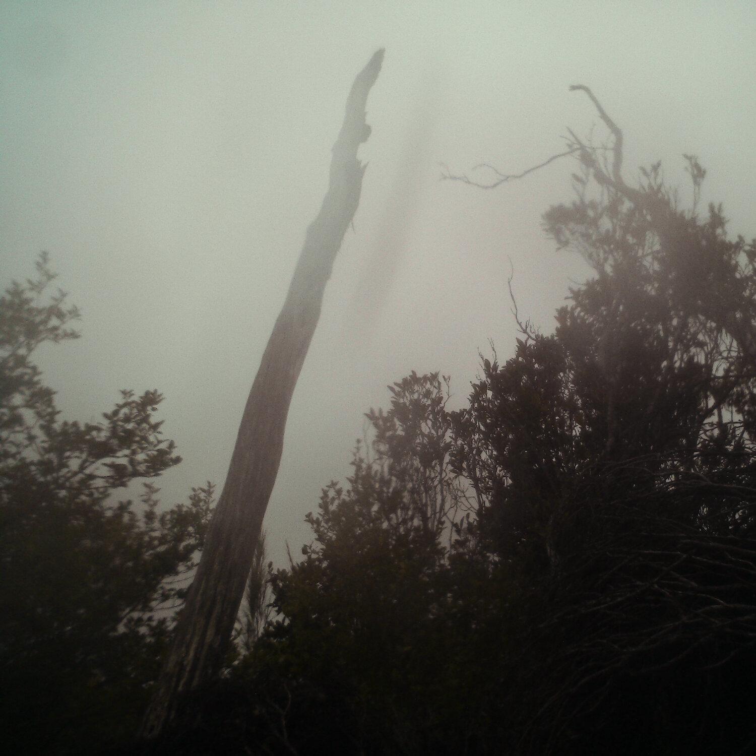 A photo captured from the webcam at the time the audio was recorded