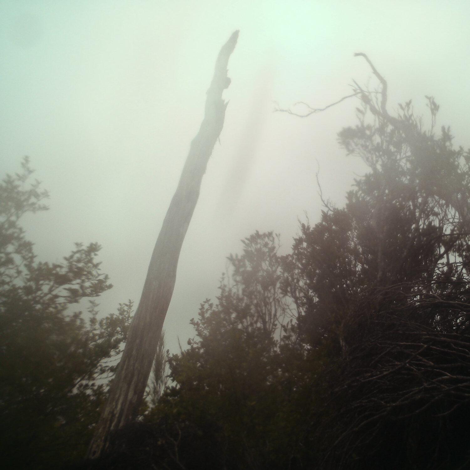 A photo captured from the webcam at the time the audio was recorded